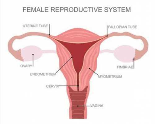 试管婴儿检查费用及医院选择指南