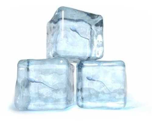 供卵试管包成功与精子库选择指南