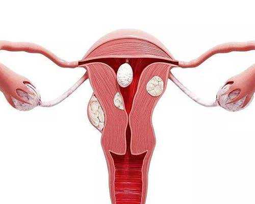 南昌助孕费用预估与代生代怀服务详解