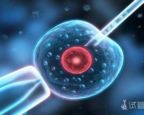 南昌大学第一附属医院试管婴儿技术与代怀助孕指南