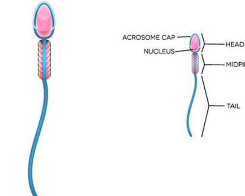 南昌试管代怀吧 南昌三甲医院——南昌大学第一附属医院 ‘酒精测男女准吧’