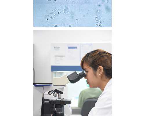 南昌供卵代生双胞胎医院与捐精服务指南