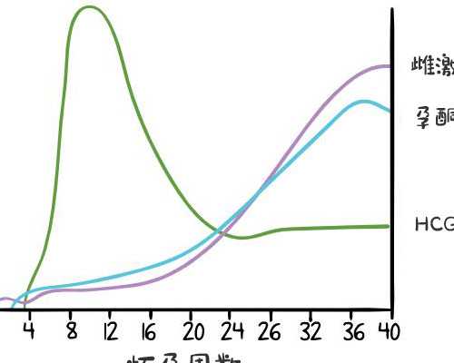 第三代供卵试管费用与性别选择解析