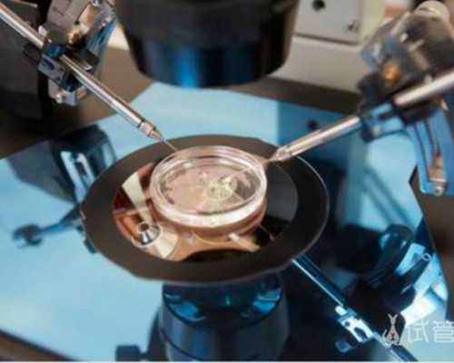 南昌试管助孕指南：医院选择与代生代怀服务解析