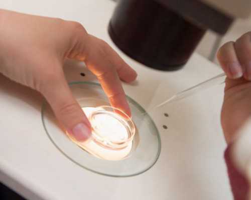 60万包成功助孕：三甲医院试管技术解析与性别选择指南