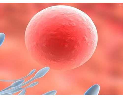 <strong>供卵试管与精子库建设填补省内空白</strong>