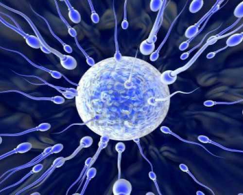 高龄女性试管婴儿常见问题与备孕饮食指南