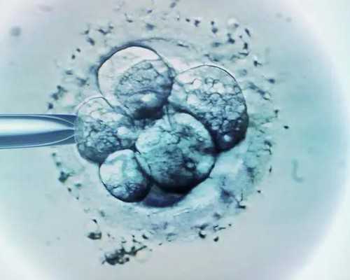 南昌试管婴儿检查时间与费用详解及助孕机构选择