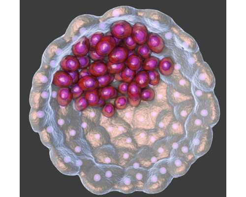 试管婴儿医院技术排名与成功经验分享
