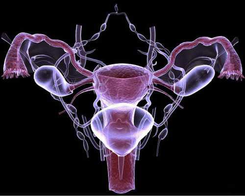 2025南昌三代试管供卵医院排名及费用明细解析