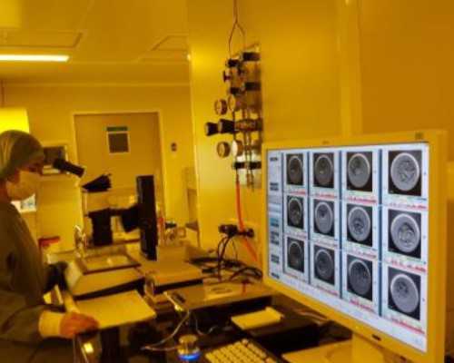 拉拉试管费用解析_三代试管风险与癌症概率评估